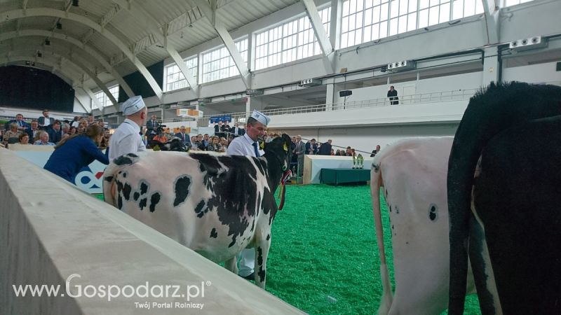 Narodowa Wystawa Zwierząt Hodowlanych 2019