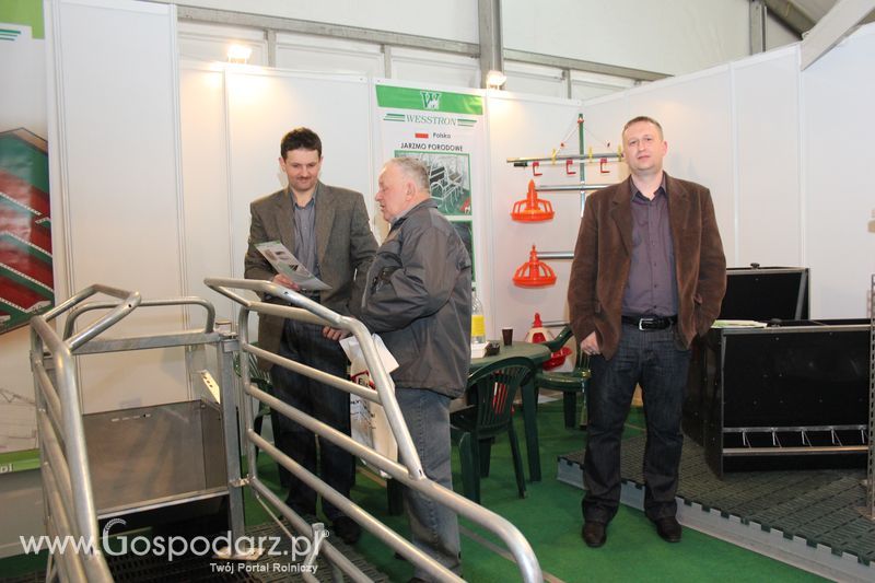 Fotorelacja z XVII Międzynarodowych Targów Techniki Rolniczej AGROTECH i XI Targów Przemysłu Drzewnego i Gospodarki Zasobami Leśnymi LAS-EXPO dzień 2