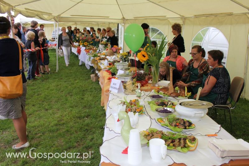 IX Święto Gęsi w Biskupcu