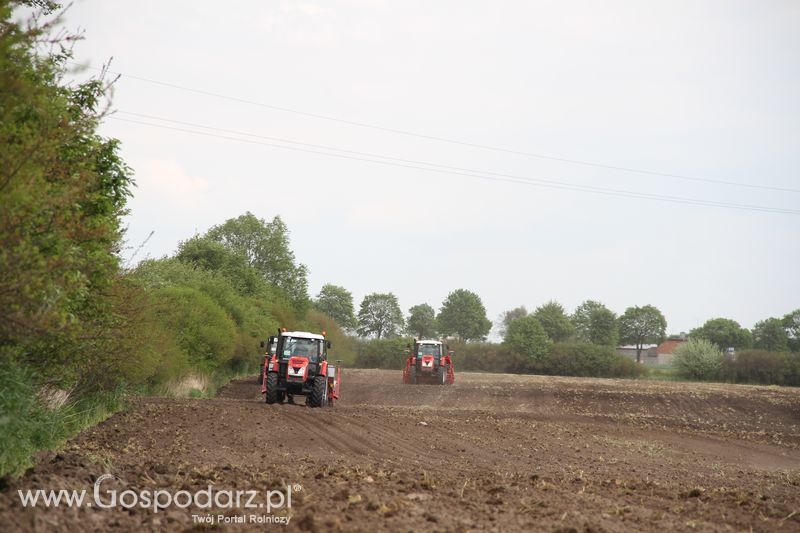 Majówka z Zetorem w Brzeziu