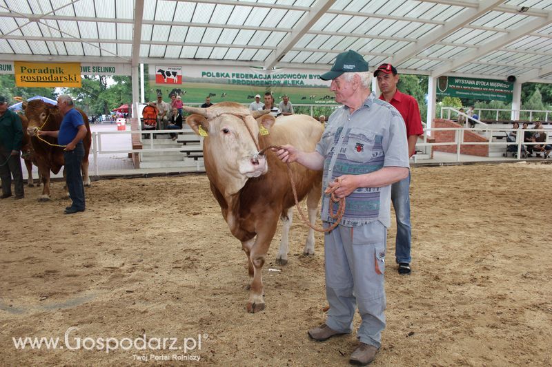 Czempioni XVII Regionalnej Wystawy Zwierząt Hodowlanych Sielinko 2011