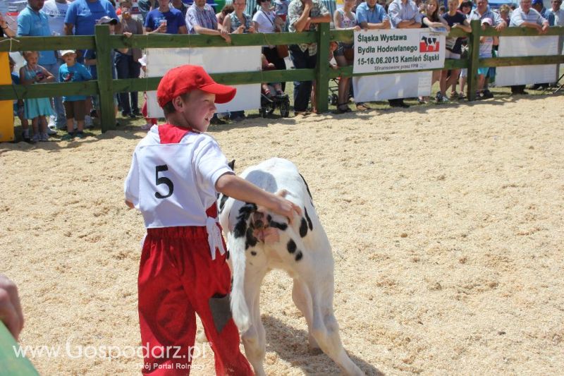 Opolagra 2013 cz.2