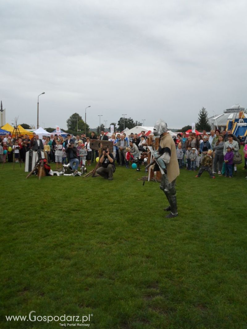 II Festiwal Wieprzowiny w Kwidzyniu