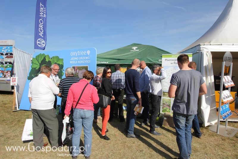 AGRO SHOW Bednary 2016 - Niedziela