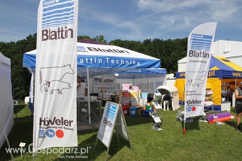 Blattin na Agro-Tech w Minikowie 2016