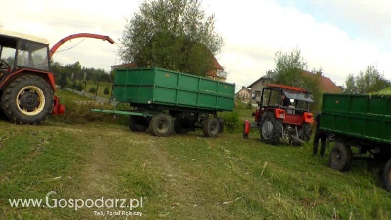 Kiszonka 2013