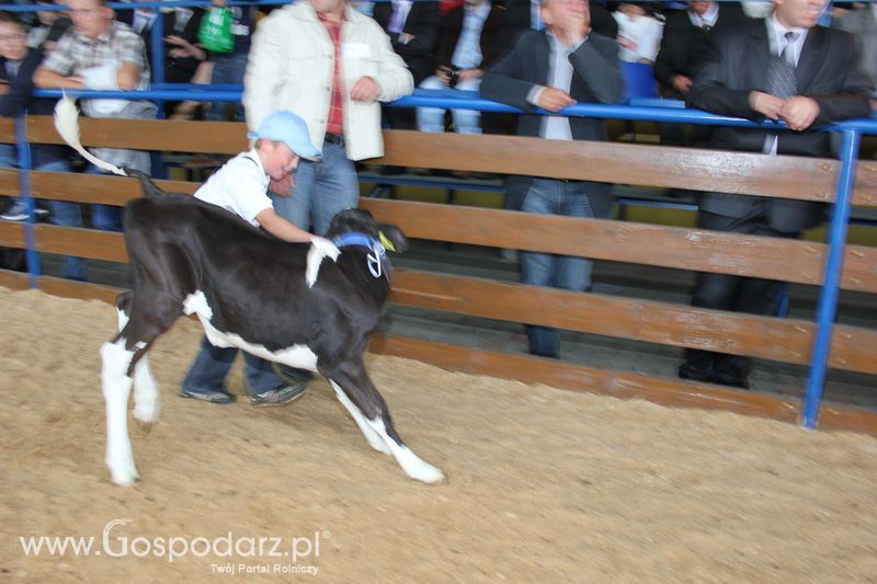 Młody hodowca na XVIII Regionalnej Wystawie Zwierząt Hodowlanych w Szepietowie