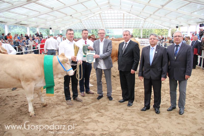 I Krajowa Wystawa Bydła Mięsnego w Sielinku - niedziela
