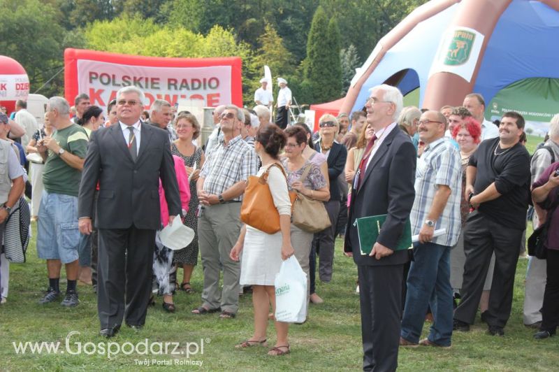 Świętomięs Polski w Chorzowie