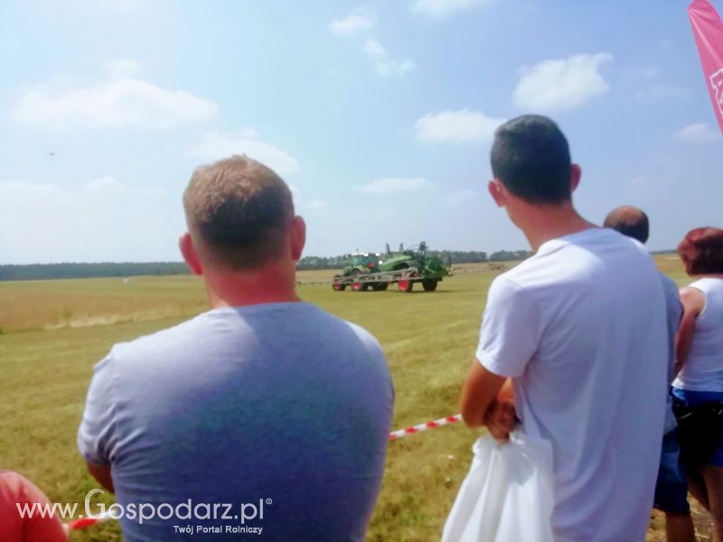 Opologra 2019