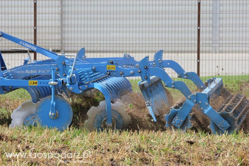 Pokazy Polowe z firmą Bogart