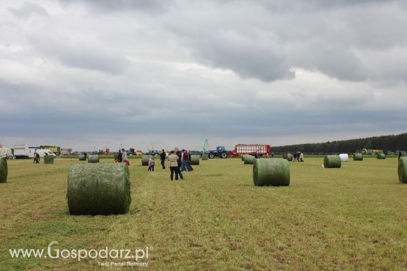 Pokazy maszyn Polskie Zboża Zielone Agro Show 2013
