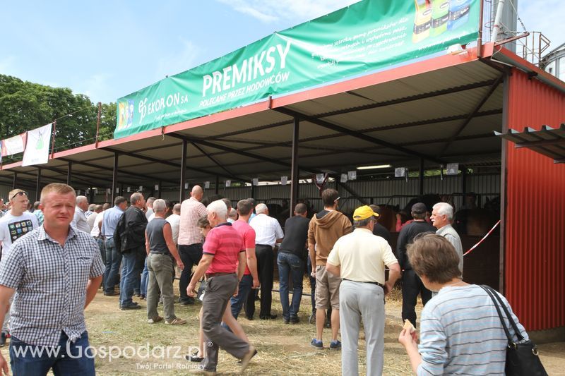 Targi rolne w Szepietowie (27-28.06.2015)