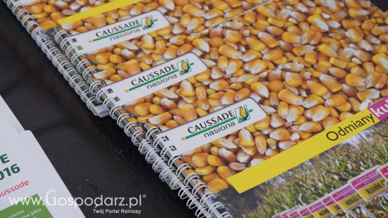 Caussade Nasiona Polska na ZIELONE AGRO SHOW w Ułężu 2017