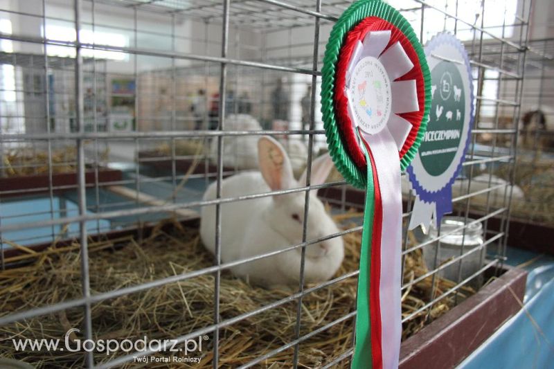 XXVI Krajowa Wystawa Zwierząt Hodowlanych - sobota i niedziela