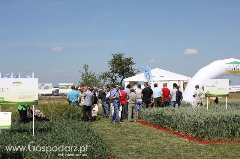 Polskie Zboża 2011 - Sobota