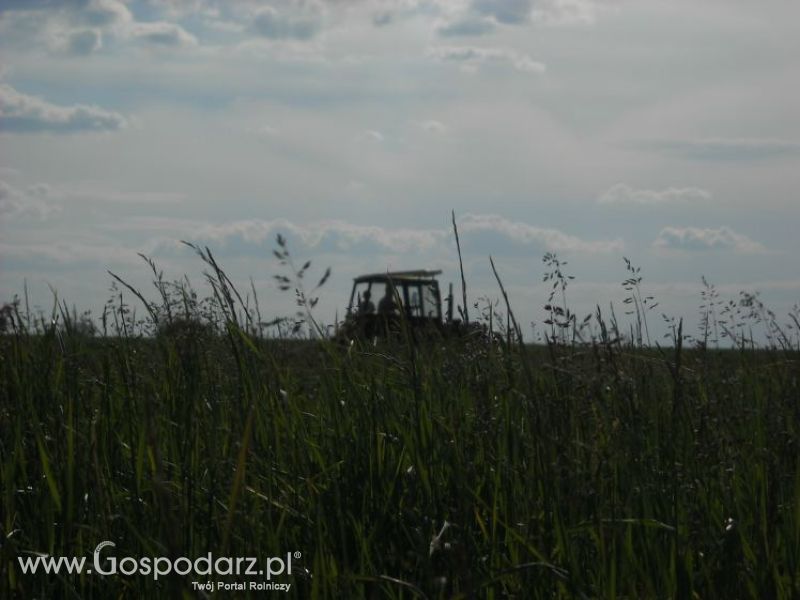 pierwsze sianokosy w roli głownej ursus c330M...