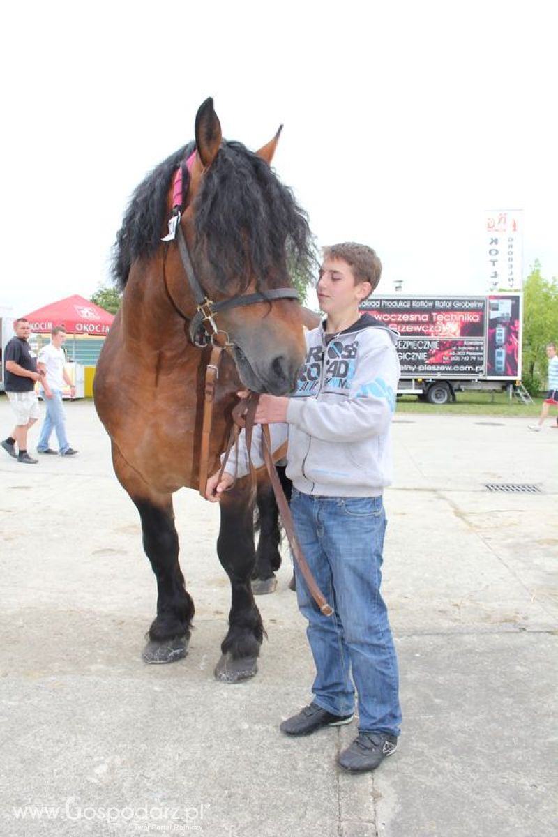 Wielkopolskie Targi Rolnicze „Sielinko 2011”  - Sobota