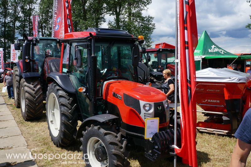 XXII Żuławskie Targi Rolne w Starym Polu