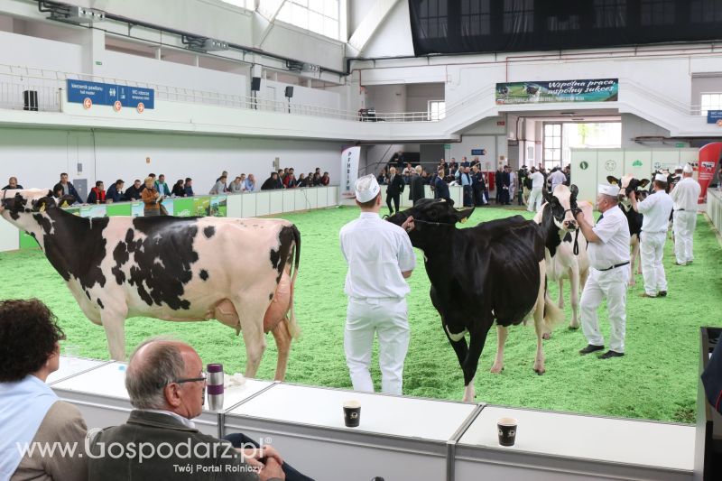 Krajowa Wystawa Zwierząt Hodowlanych w Poznaniu 2017 (niedziela, 7 maja)