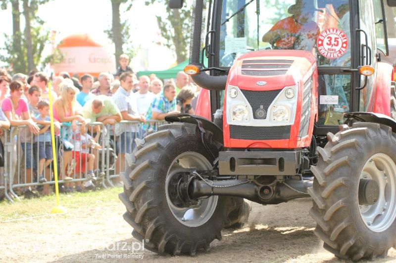 Precyzyjny Gospodarz w Wilkowicach 2013 - niedziela