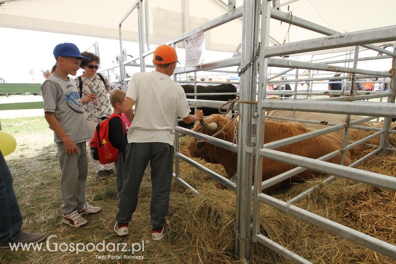 Sobota na Opolagrze 2016 razem z Gospodarz.pl