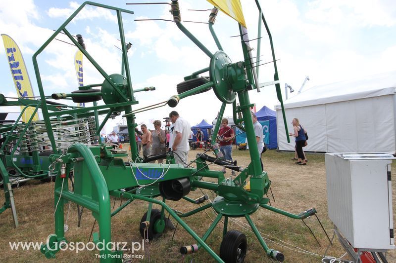 Kellfri na OPOLAGRZE 2015