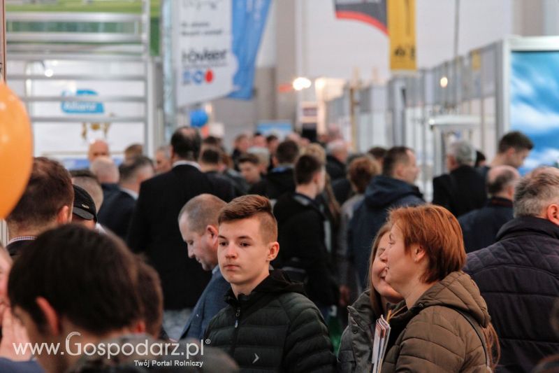 Ferma 2019 dzień 2