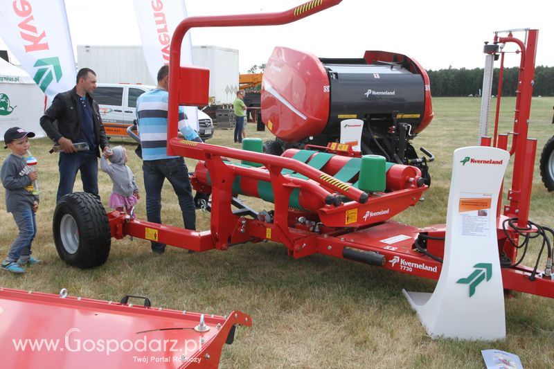 Zielone AGRO SHOW - Polskie Zboża 2015 w Sielinku