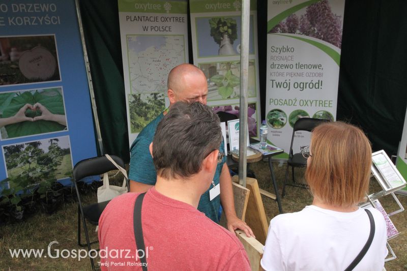 Oxytree na OPOLAGRA Kamień Śląski 2018