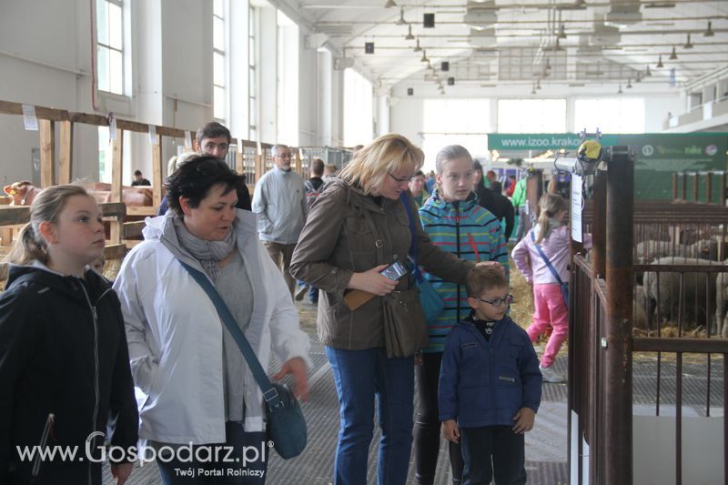 KWZH 2015 niedziela