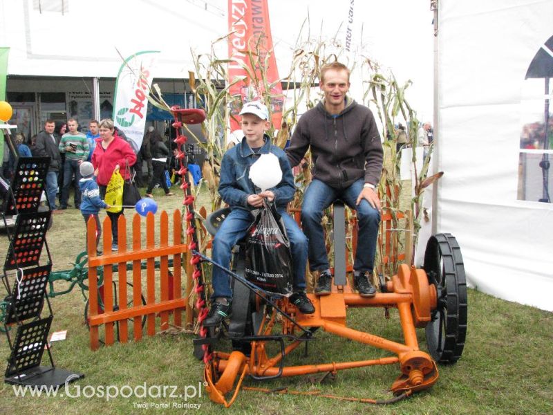 Agro Show 2013 Bednary Zdjęcie z krówką