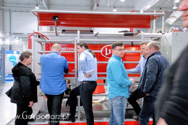 Ferma 2019 dzień 2