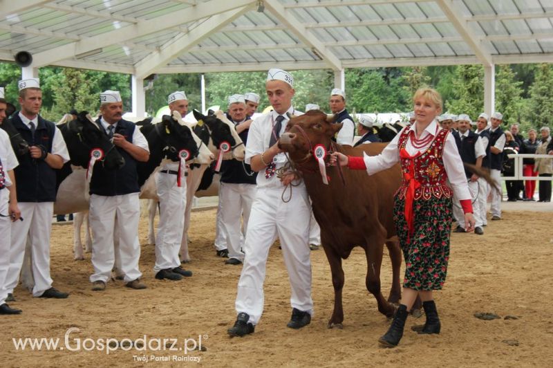 Prezentacja Championów na VII Ogólnopolskiej Wystawie Bydła Hodowlanego w Sielinku 2012