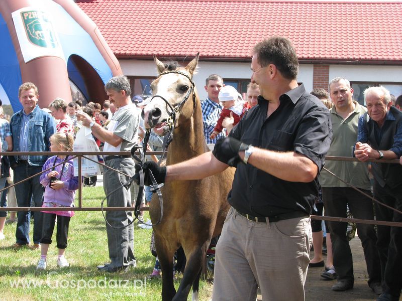 Wystawa Koni Sielinko 2011