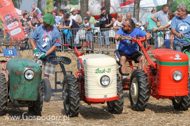 Targi Roltechnika w Wilkowicach 2015