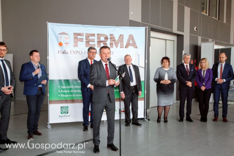 Ferma 2019 dzień 1