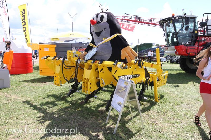 AgriTeam na Agro-Tech w Minikowie 2016