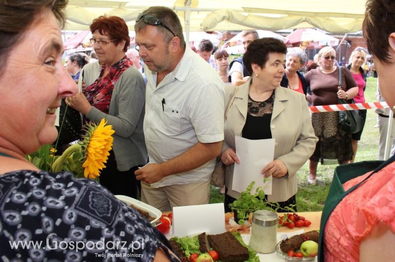 IX Święto Gęsi w Biskupcu