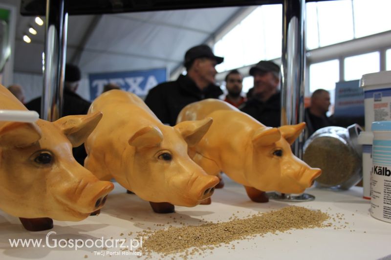 Targi AGROTECH i LAS EXPO 2013 - sobota i niedziela