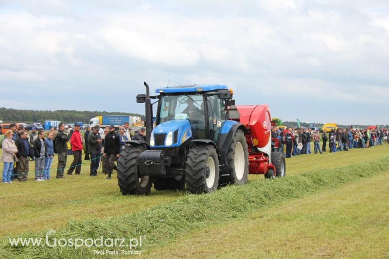 Pokazy maszyn Polskie Zboża Zielone Agro Show 2013