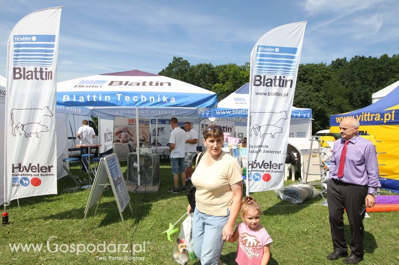 Blattin na Agro-Tech w Minikowie 2016