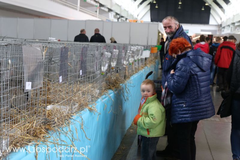 Krajowa Wystawa Zwierząt Hodowlanych w Poznaniu 2017 (sobota, 6 maja)