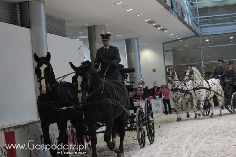 CAVALIADA 2013 w Poznaniu