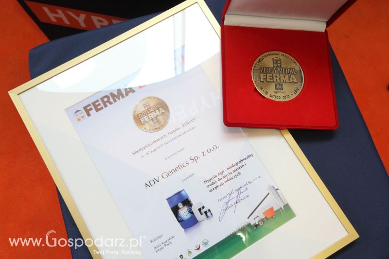 FERMA 2020 dzień 3