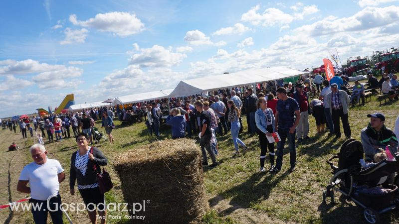 V Wojewódzki Konkurs ORKI