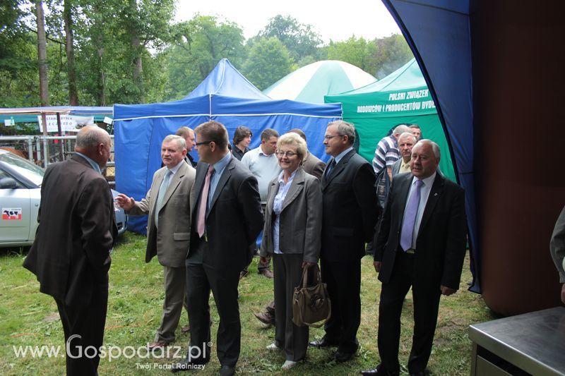  XX Targi Rolnicze Lubniewice