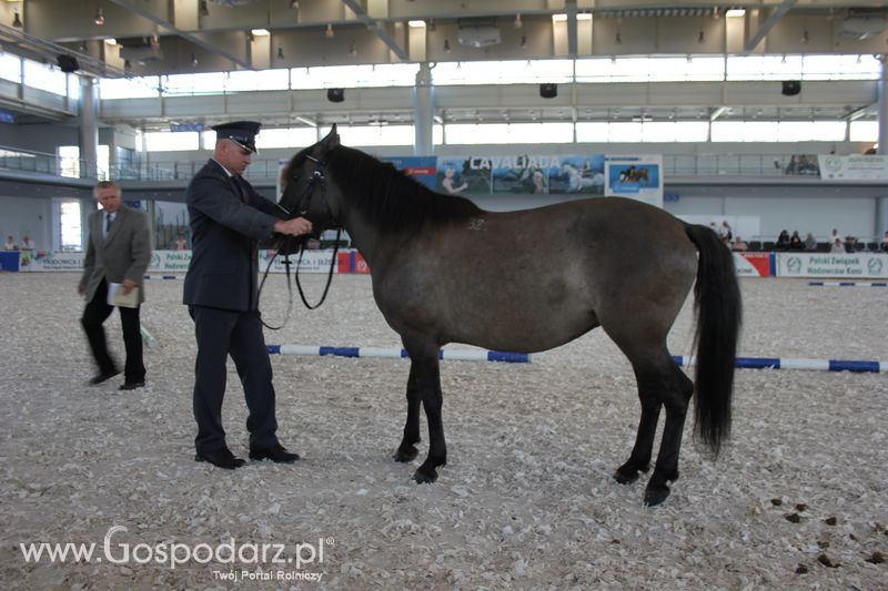 XXV Krajowa Wystawa Zwierząt Hodowlanych Niedziela