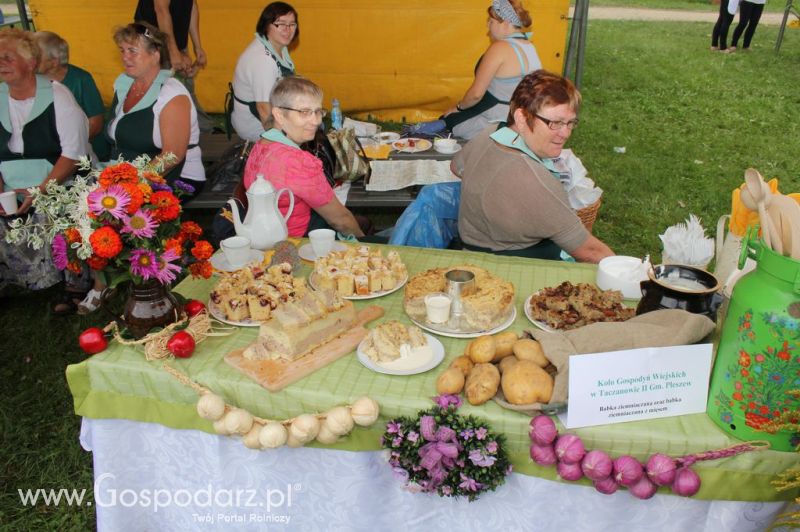 XIX Krajowe Dni Ziemniaka w Marszewie