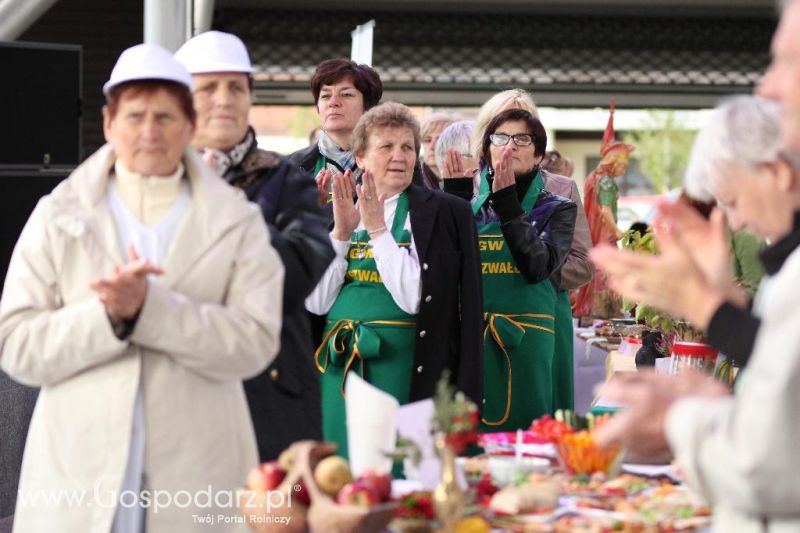 Święto Indyka w Ostródzie